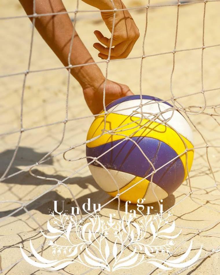 Sandflogbóltur