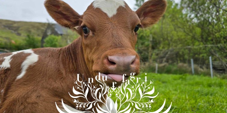 Djórðagarður Í Vatnsoyrum